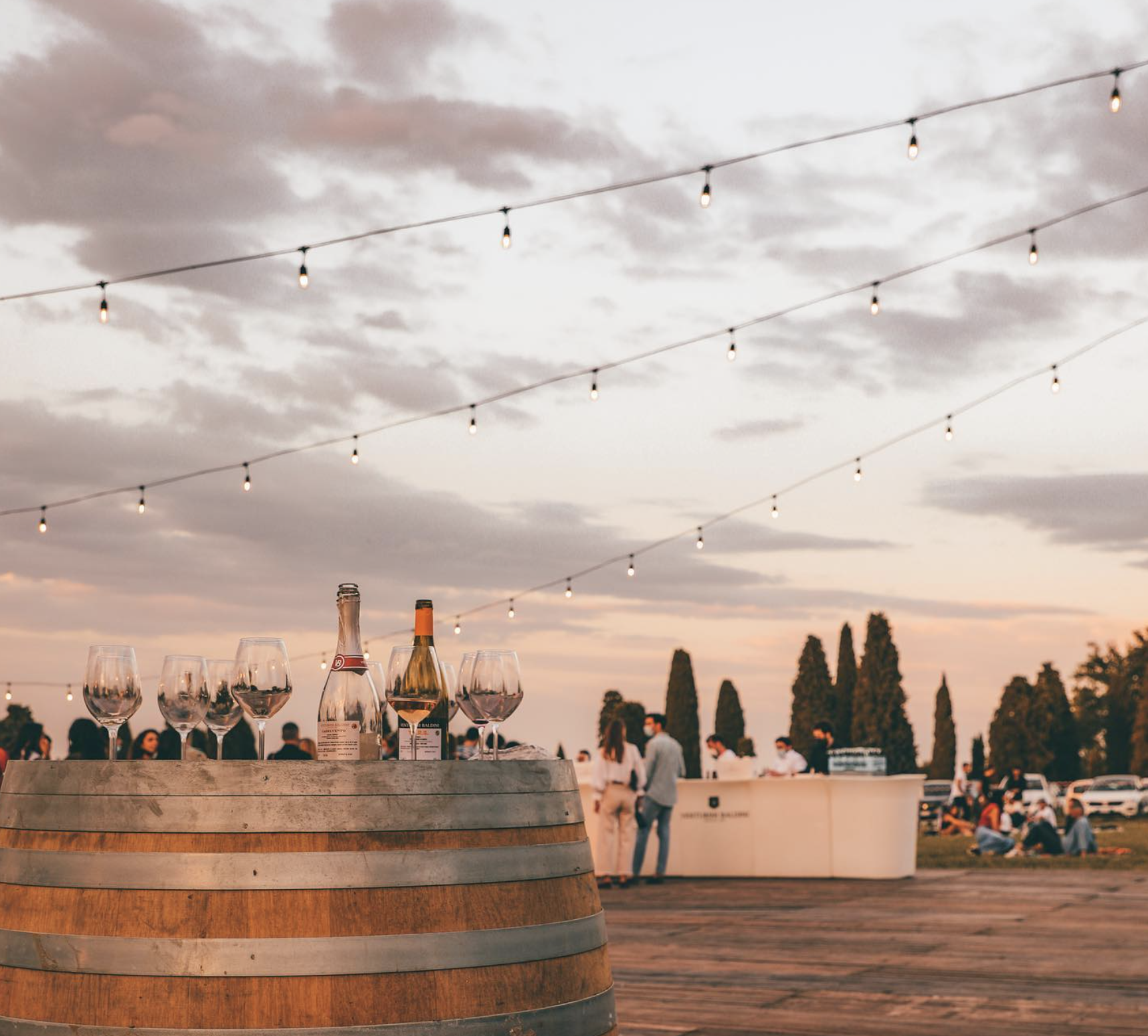Le 3 migliori degustazioni vini a Parma