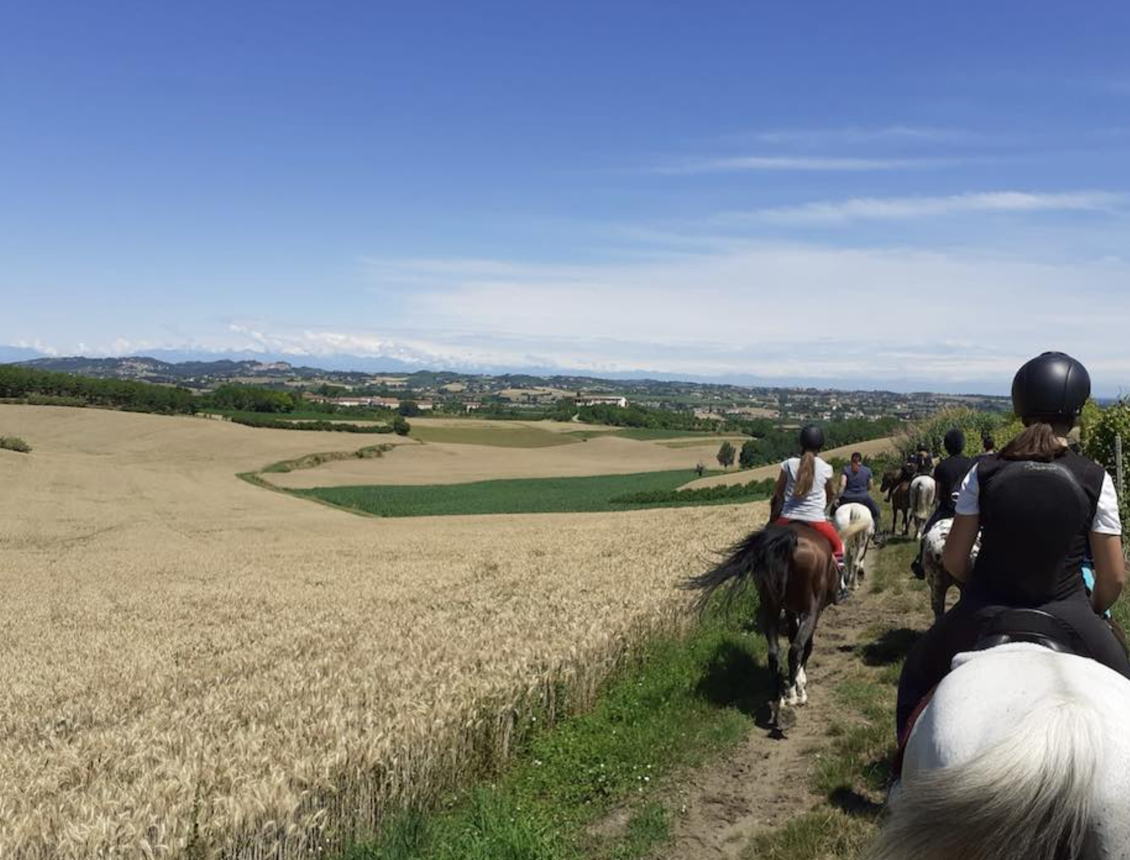 Passeggiate a Cavallo ad Alessandria: le 3 migliori
