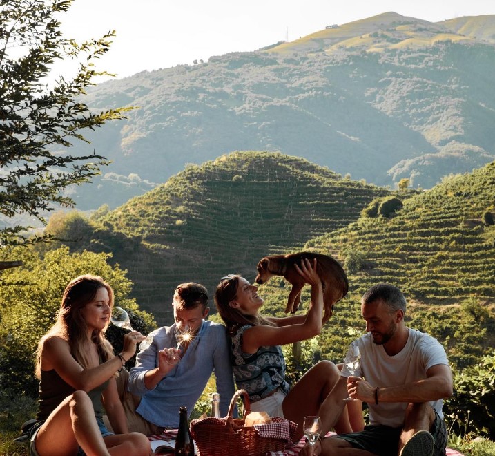 Le 10 migliori degustazioni vini in Valpolicella