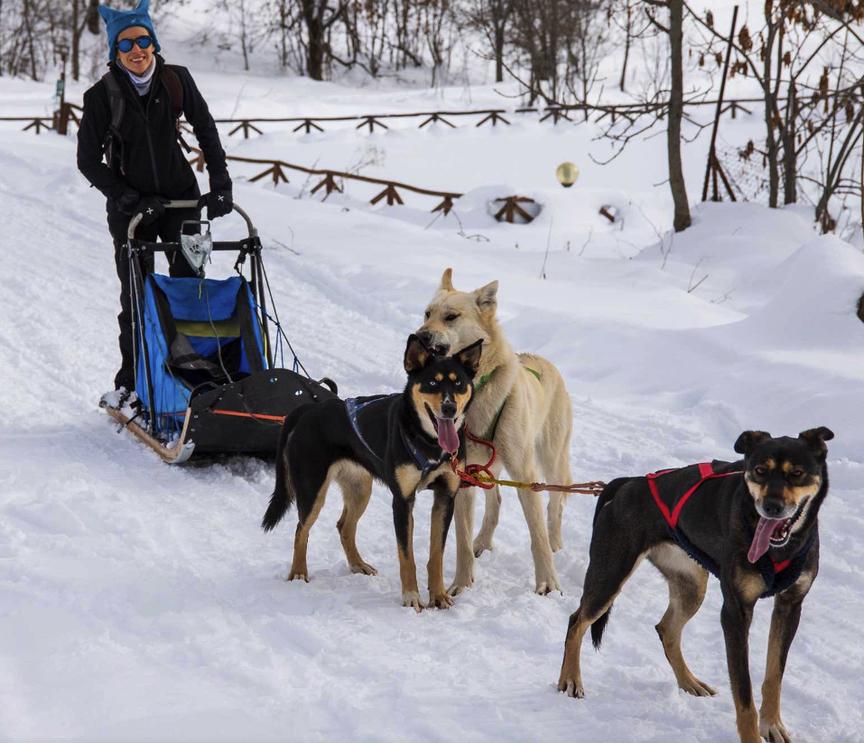 Esperienze sulla neve in Piemonte: le 10 migliori