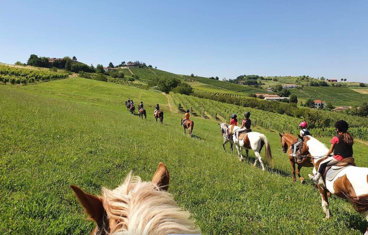 Passeggiate a Cavallo in Piemonte: Le 10 migliori