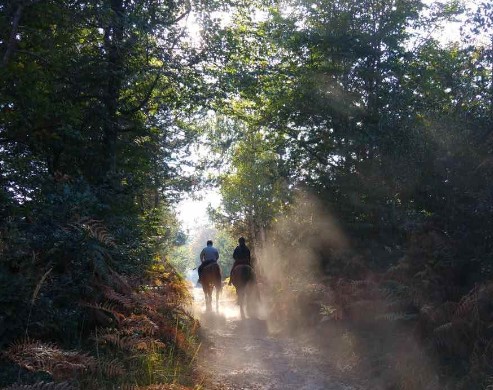 Passeggiate a Cavallo vicino a Milano: Le 9 Migliori