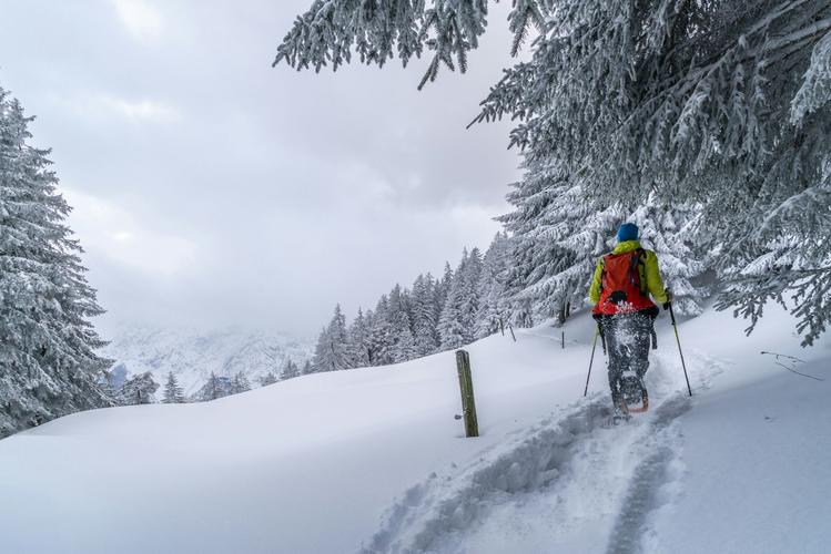 Le 2 migliori ciaspolate a Bardonecchia