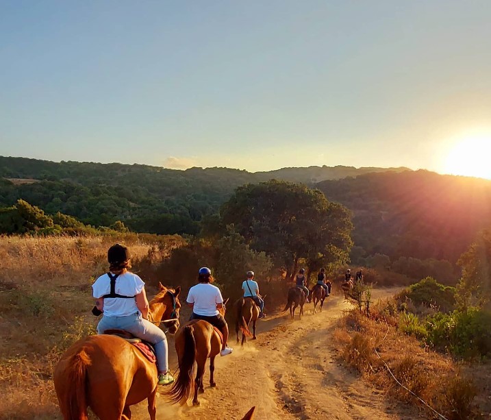 Passeggiate a Cavallo in Sardegna: Le 10 migliori