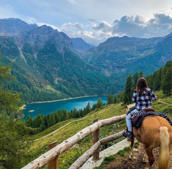 Passeggiate a Cavallo in Trentino-Alto Adige: Le 9 migliori
