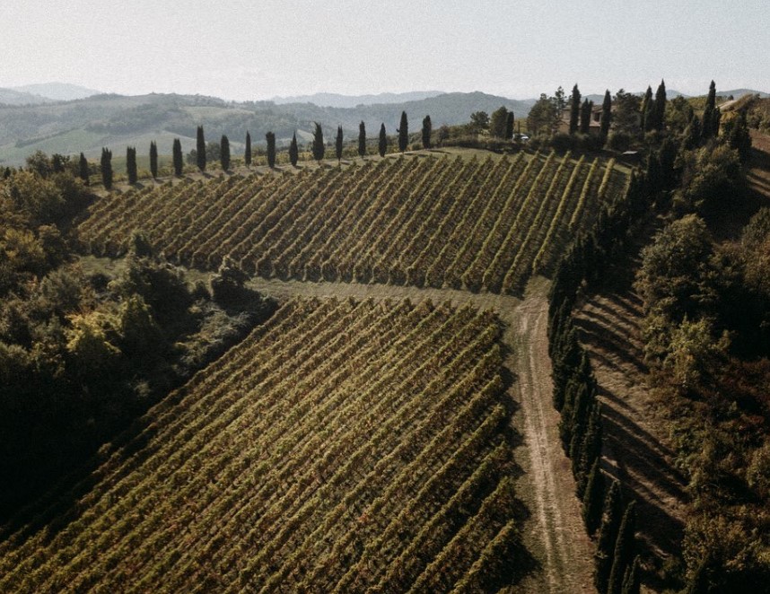 Picnic in Emilia Romagna: le 8 migliori cantine e tenute