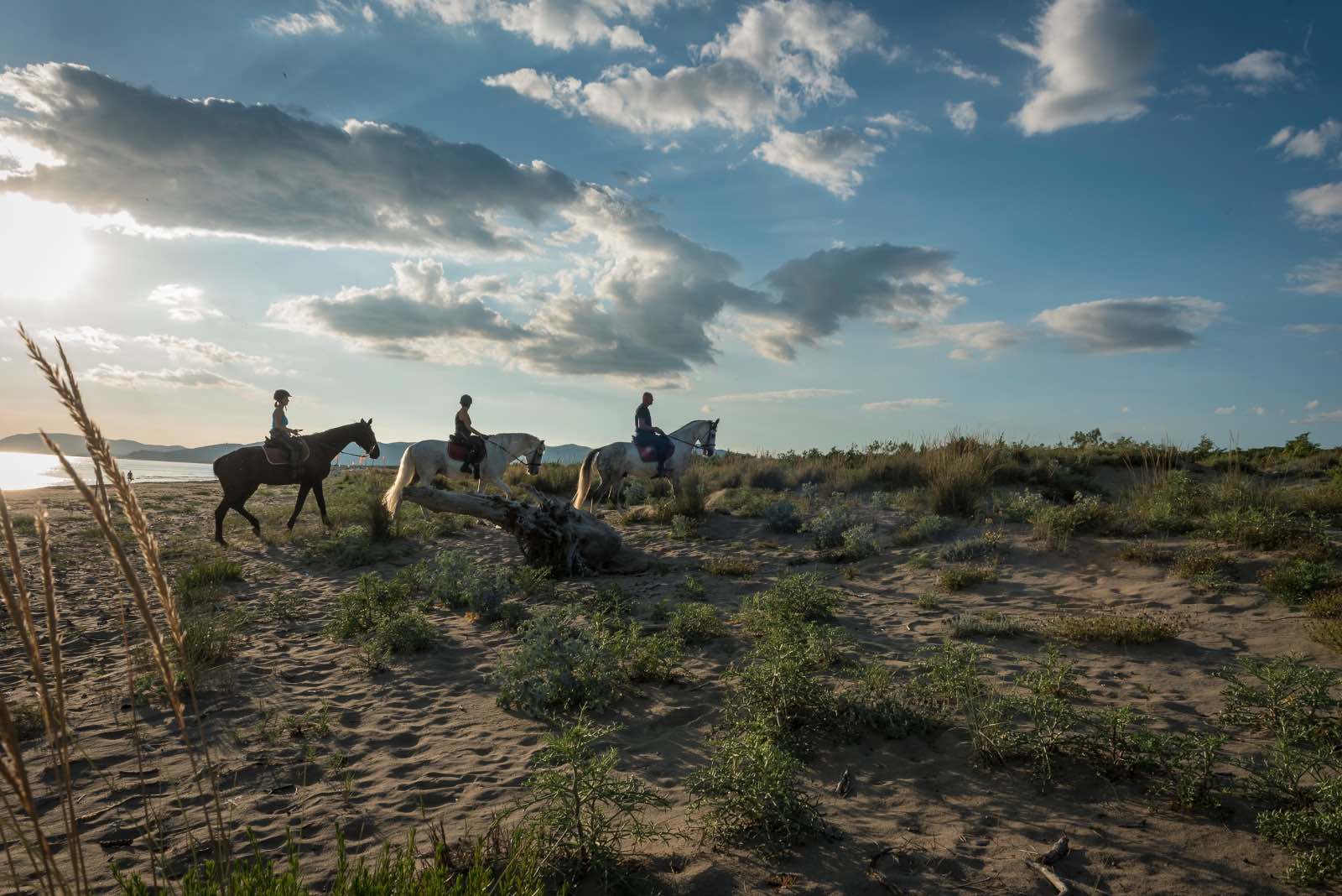 Le 10 migliori esperienze da fare in Maremma Toscana in vacanza nel 2025